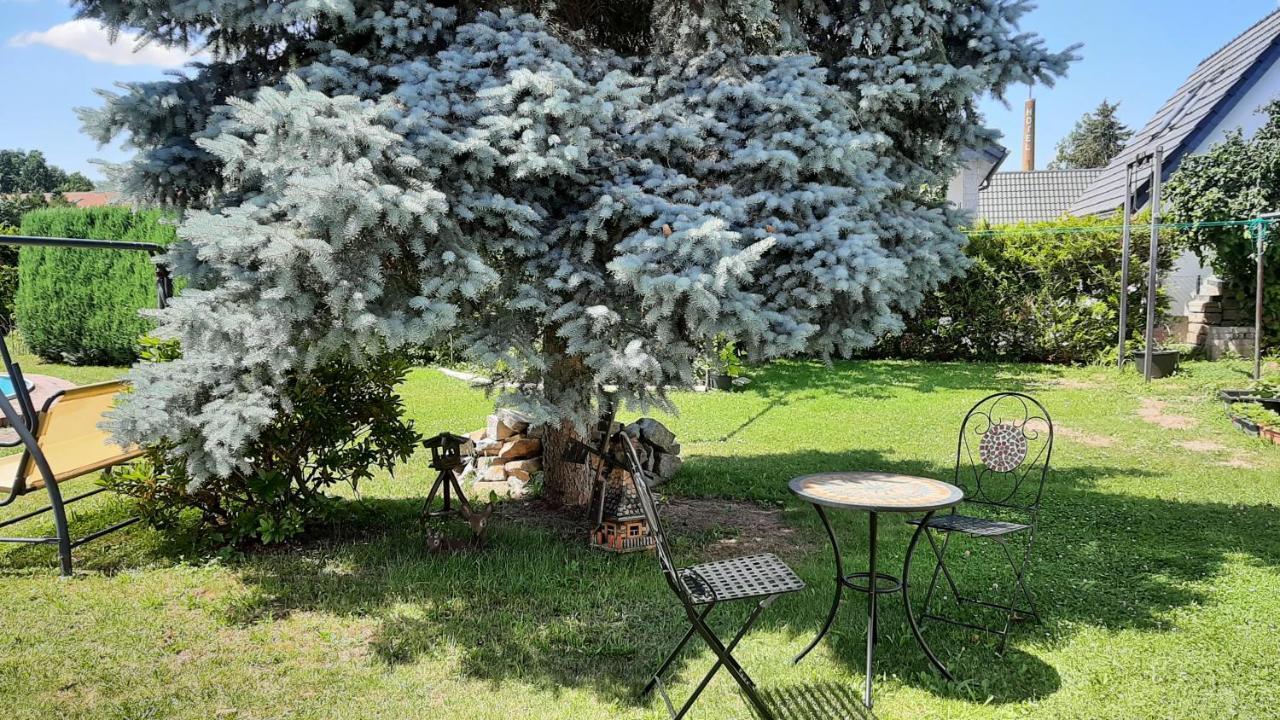 Apartment Koenig Niedergurig Bei Bautzen Malschwitz